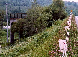 bhen1.jpg (30973 バイト)