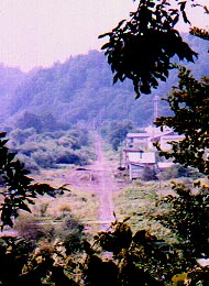 msyuma1.jpg (29421 バイト)